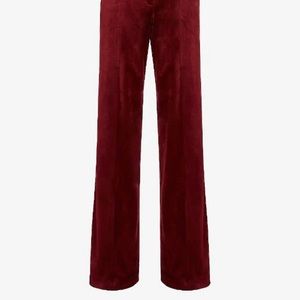 Express High Waisted Velvet Trouser Pant